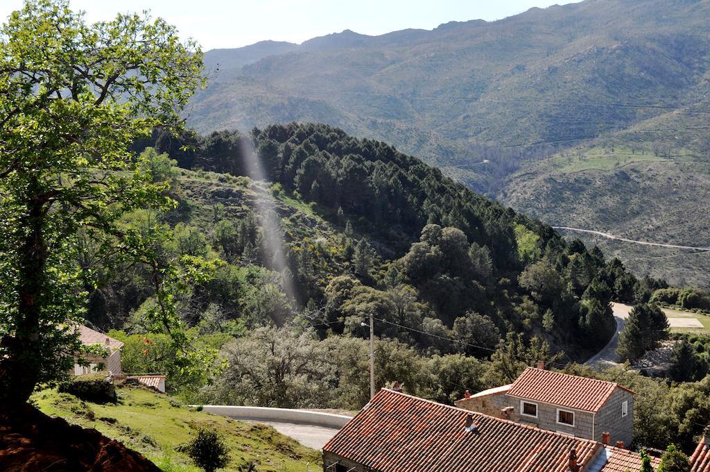 Chambres D'Hotes Villa Cardellini Aullene Εξωτερικό φωτογραφία