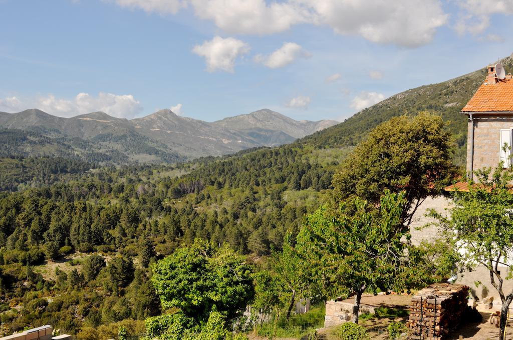 Chambres D'Hotes Villa Cardellini Aullene Εξωτερικό φωτογραφία